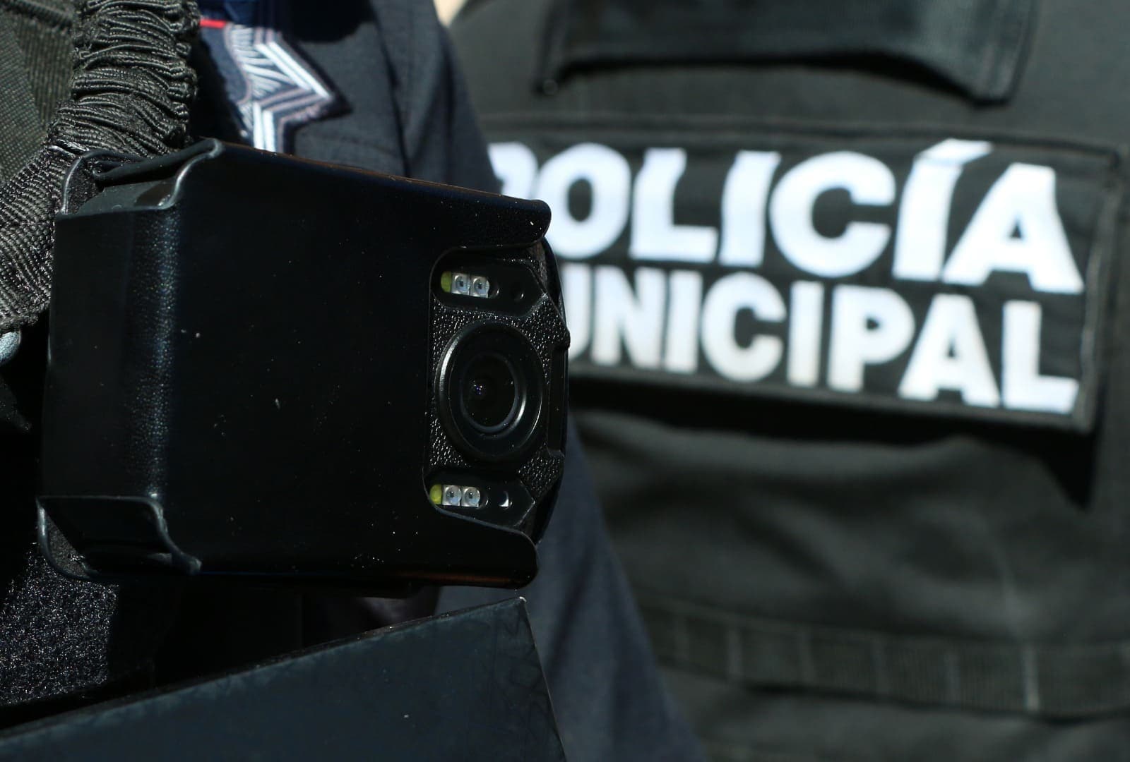 Foto: Web