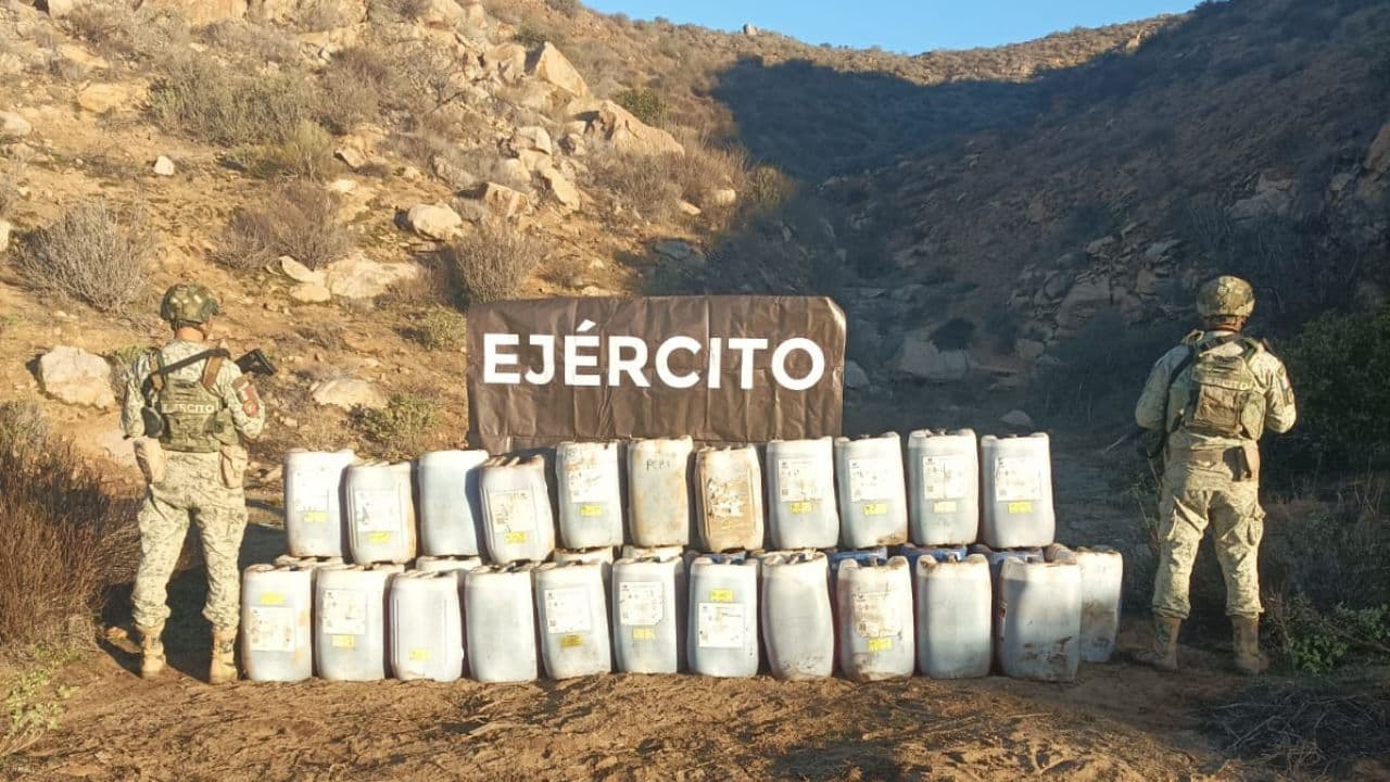 Foto: Cortesía