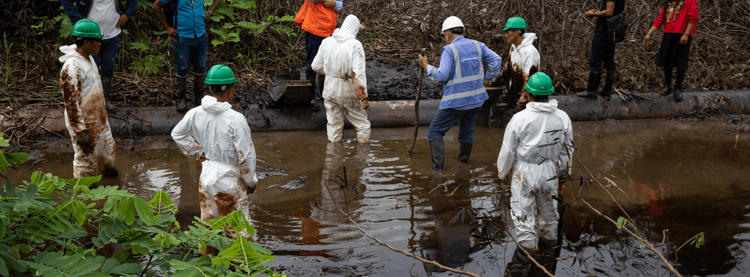 Foto: Mongabay