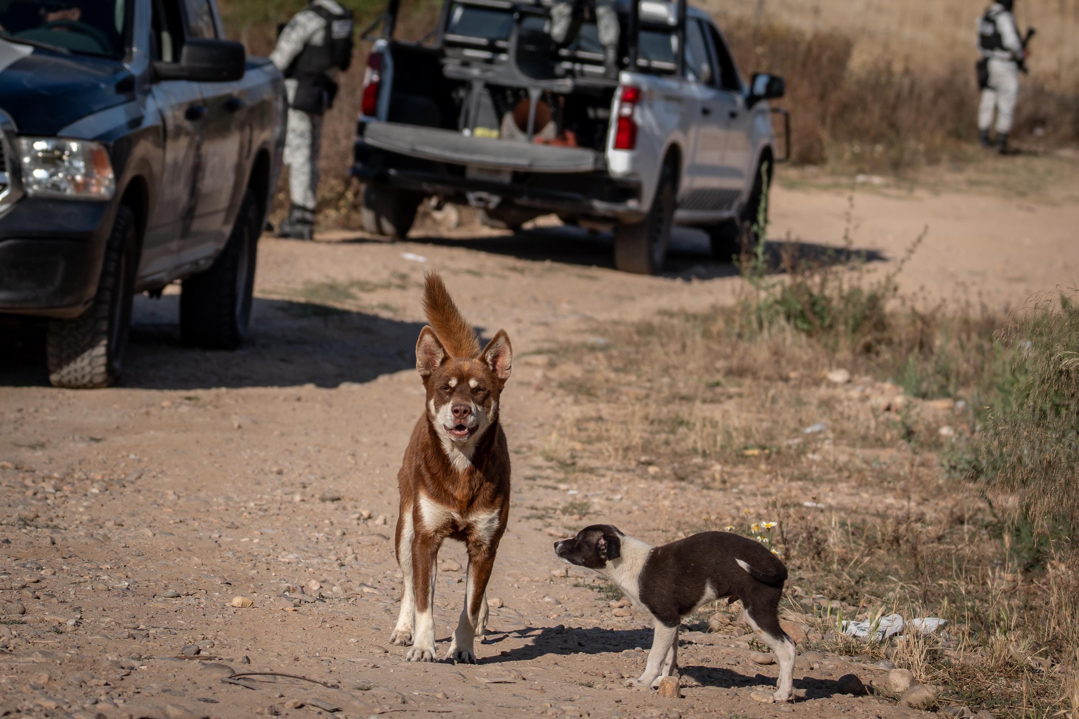 Foto: Boder Zoom/Baja News