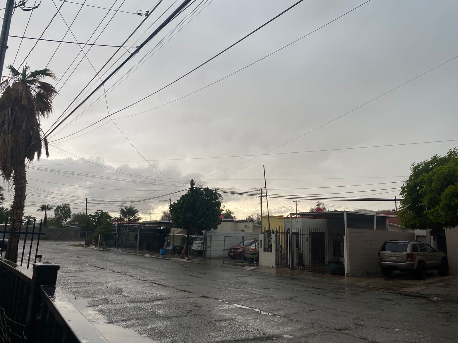 Foto: Cortesía
