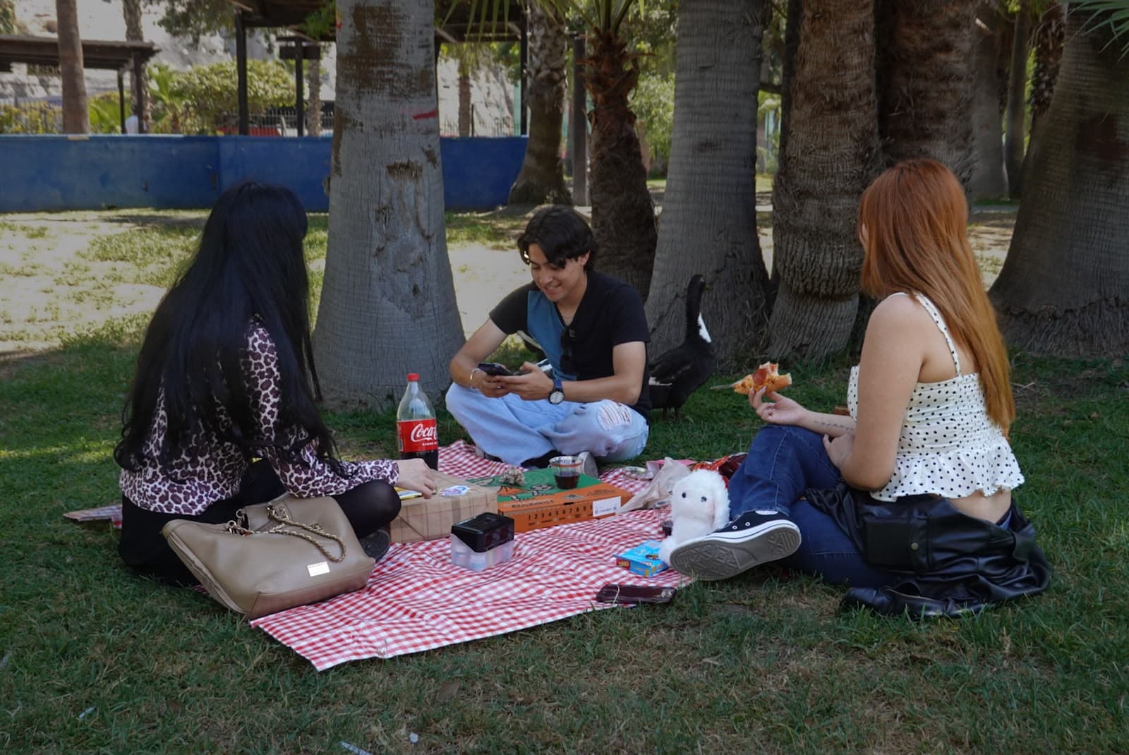 Foto: Border Zoom/Baja News