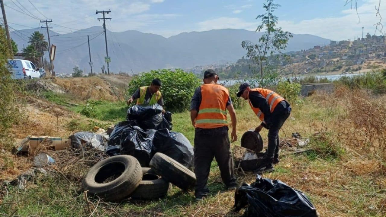 Foto: Cortesía