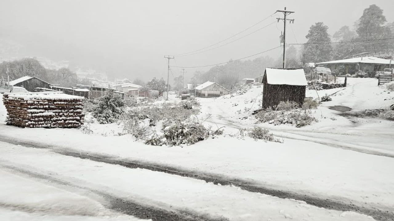 Foto: Cortesía