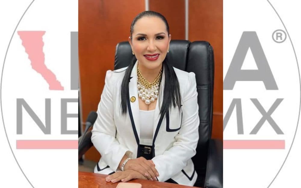 "La diputada Araceli Geraldo Núñez destacó la importancia de revisar y fortalecer los protocolos hospitalarios en áreas de urgencias para garantizar un trato digno y eficiente a los pacientes."