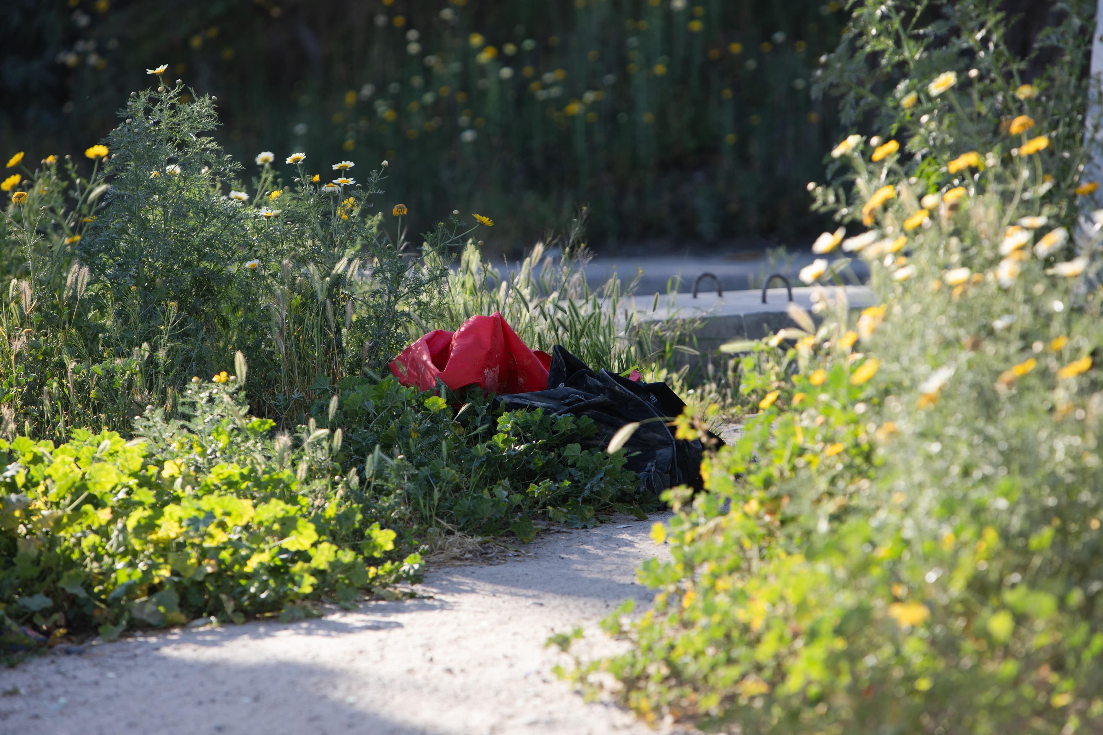Foto: Border Zoom