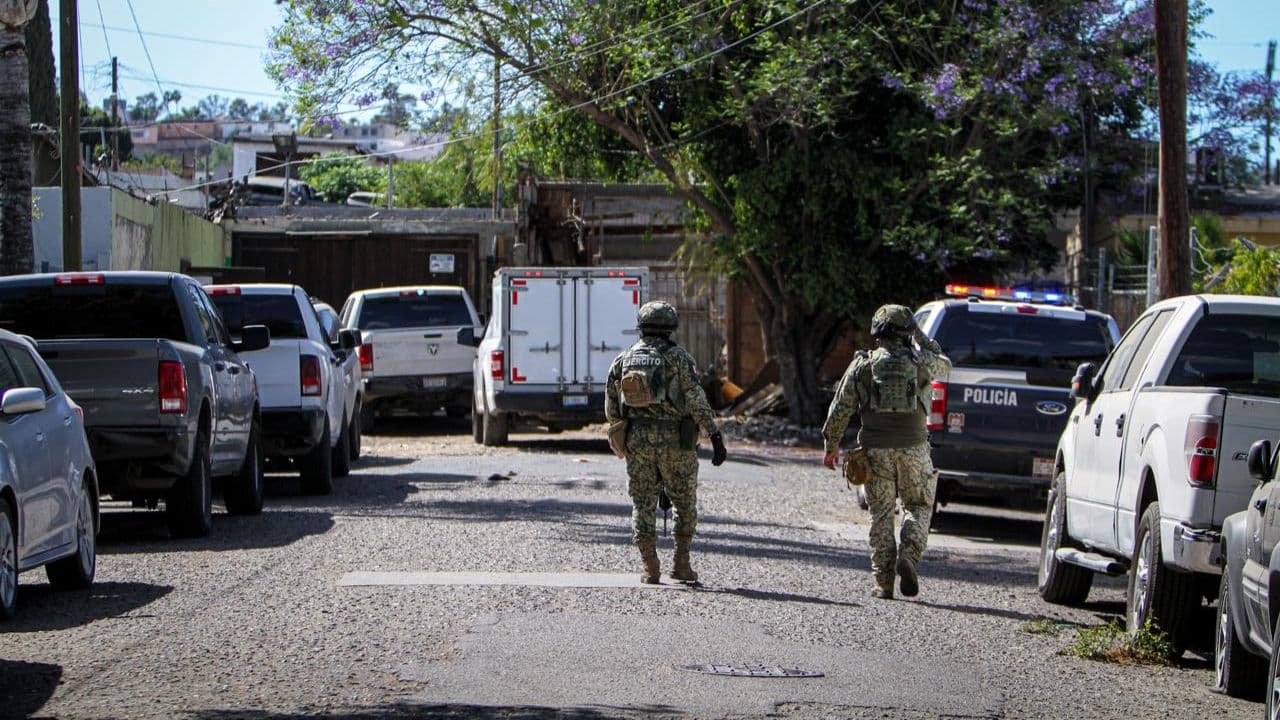 Fotos: Border Zoom