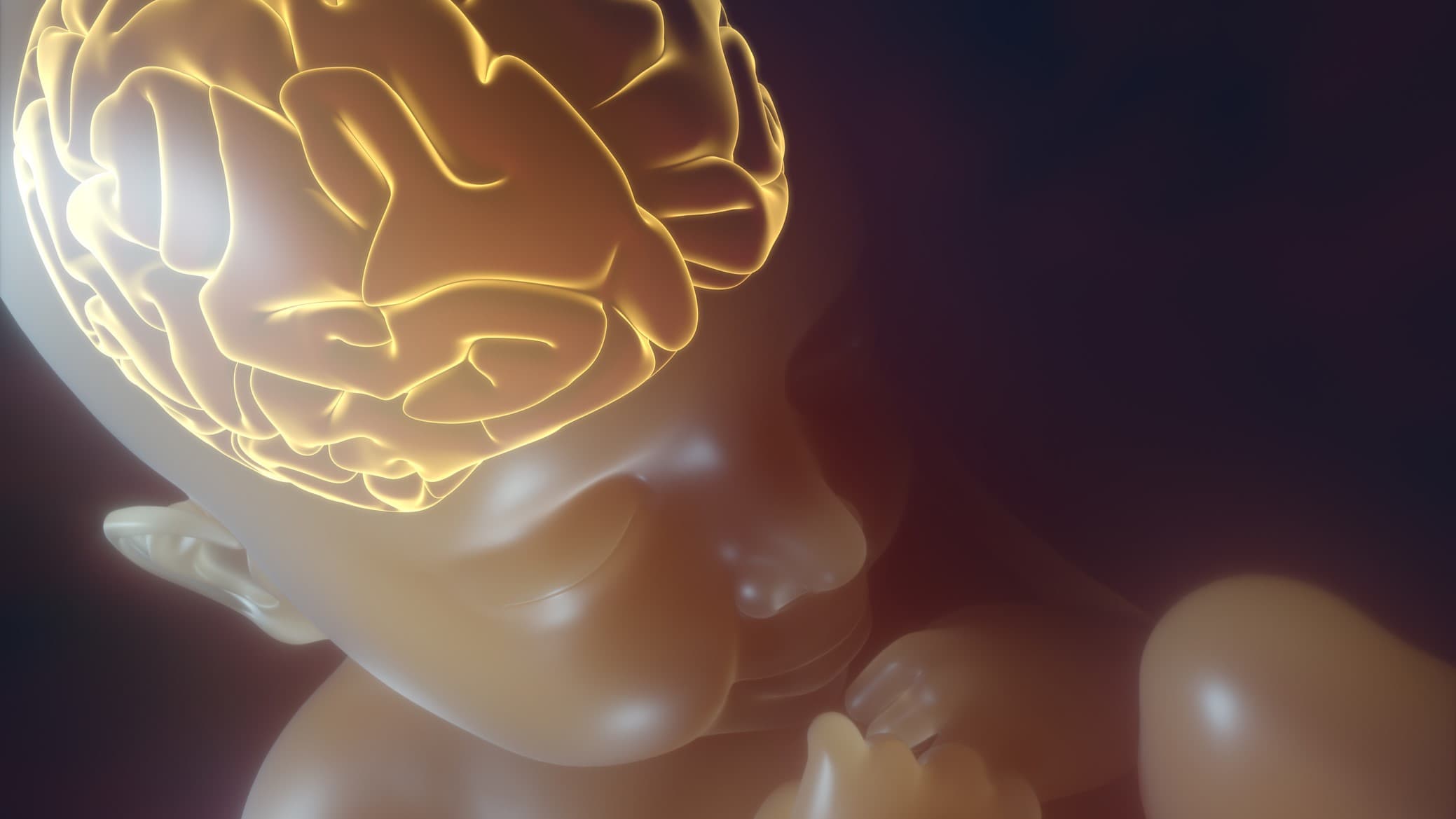 La ciencia intenta explicar el proceso neuronal de los bebés IFOTO: Web