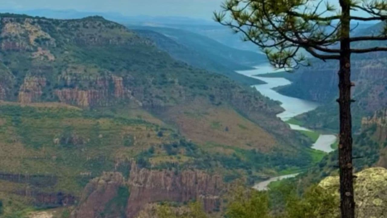 Foto: Cortesía