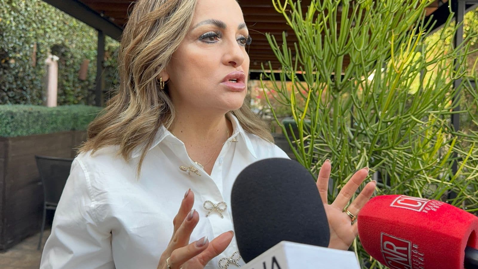Foto: Baja News