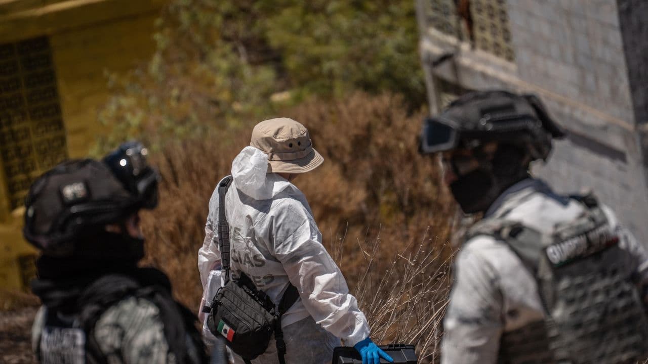 Fotos: Border Zoom