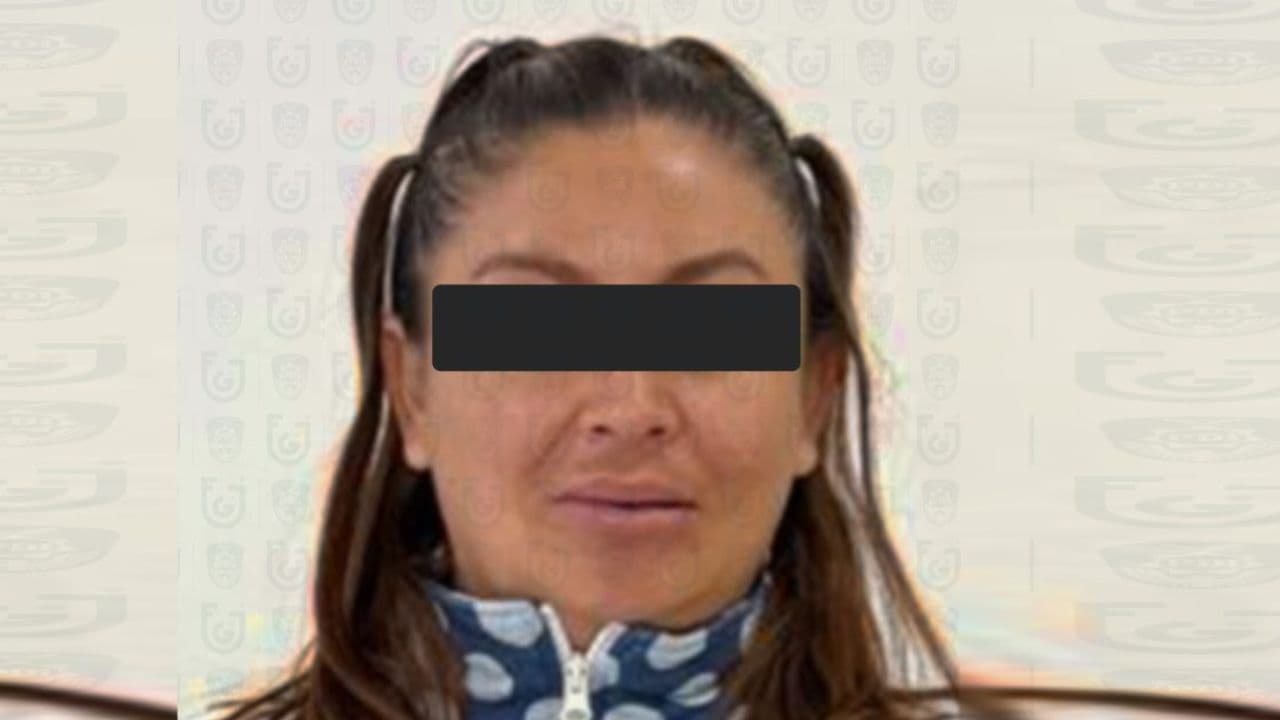 Fotos: web