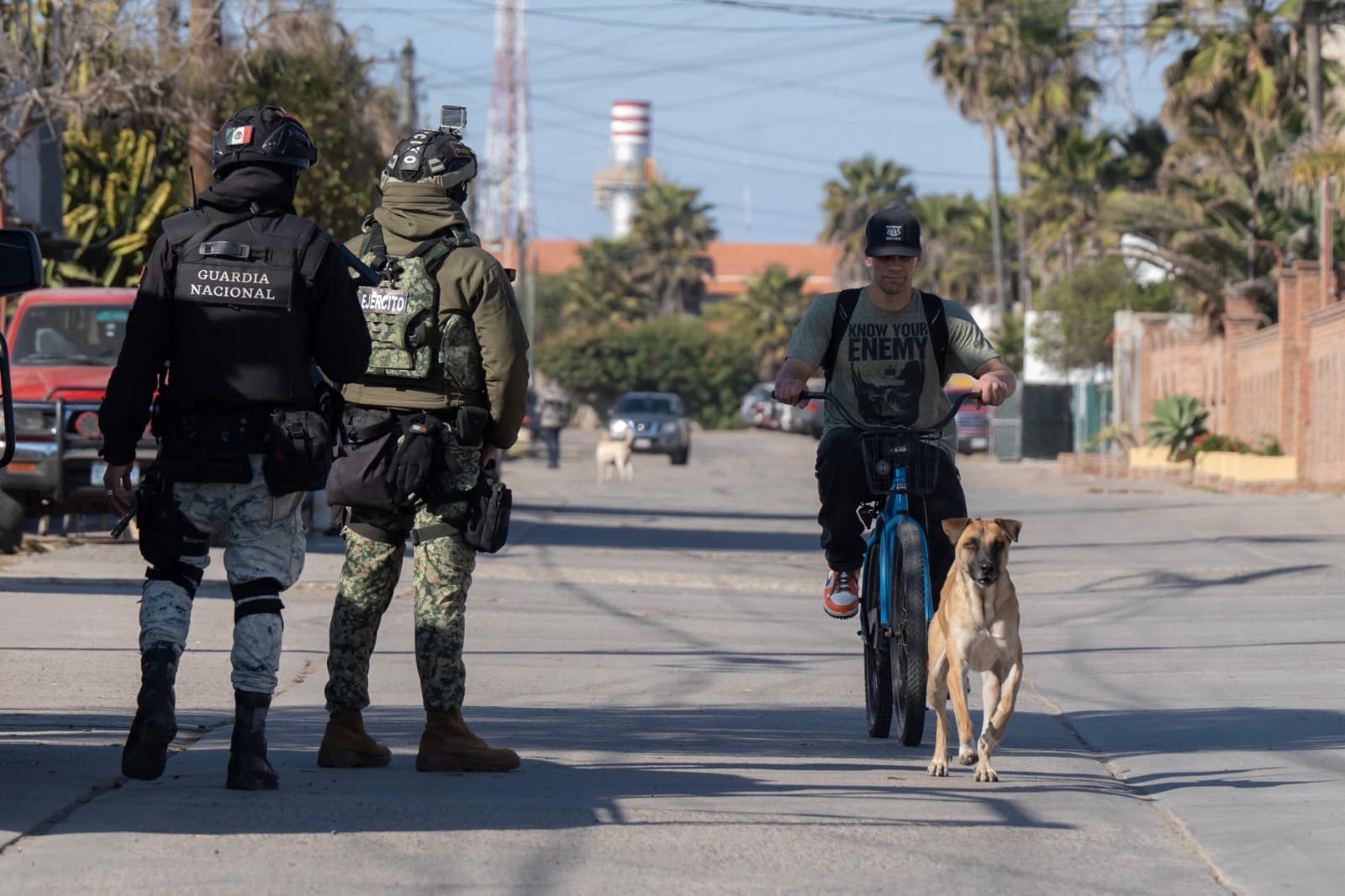 Foto: Border Zoom/Baja News