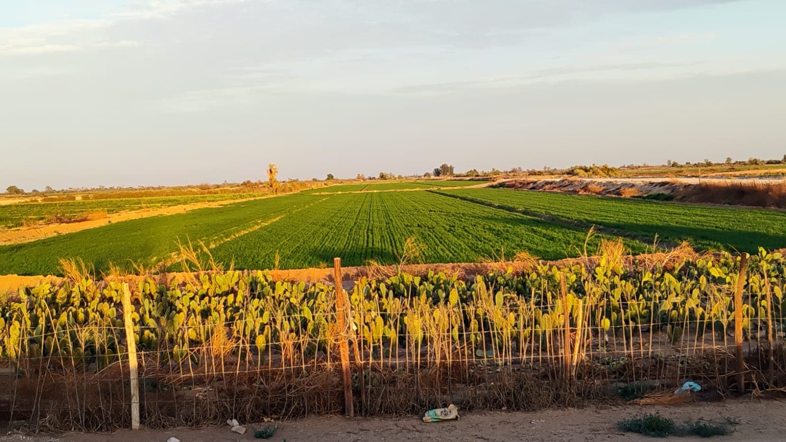 Foto: Baja News
