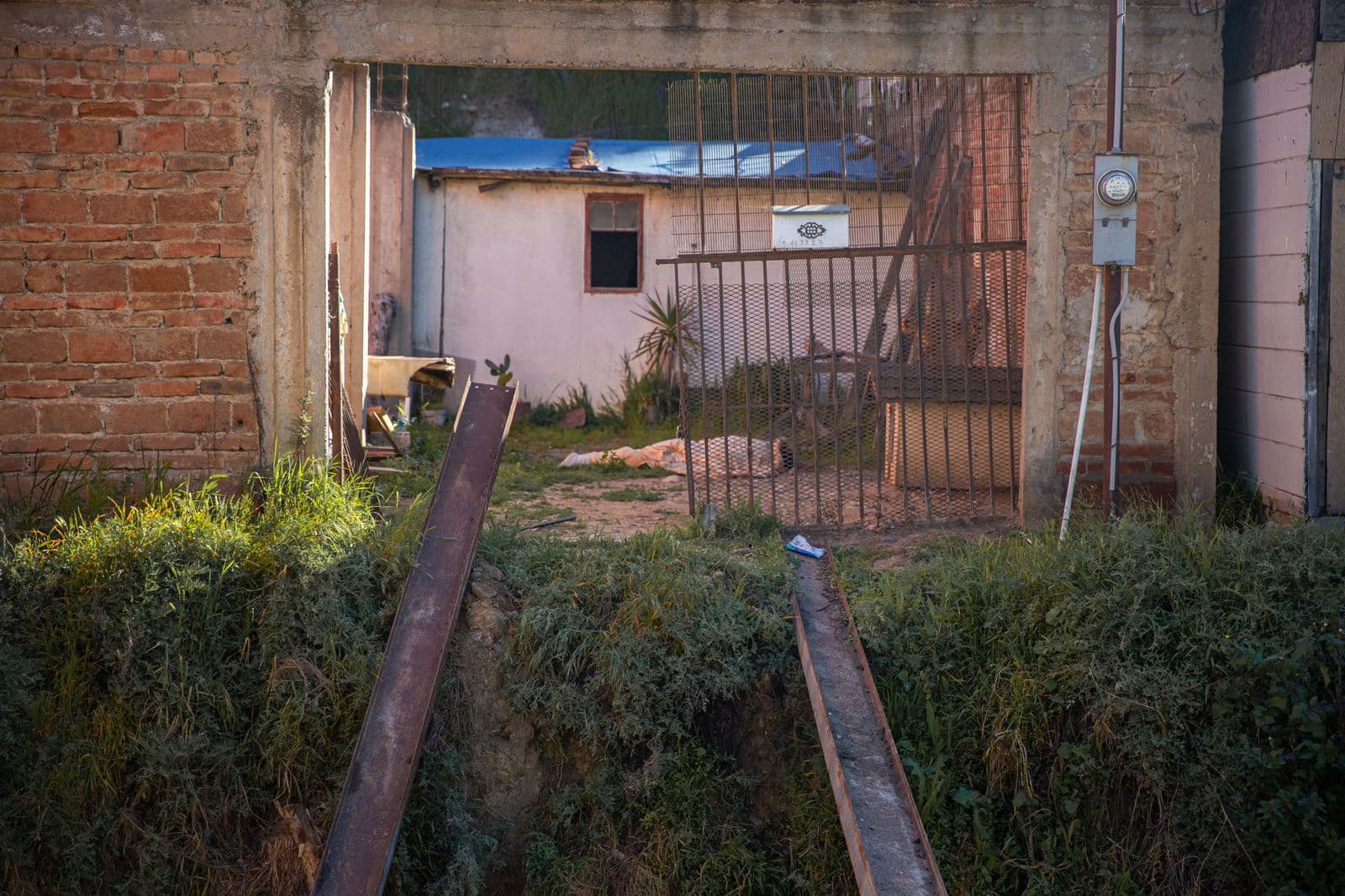 Foto: Border Zoom/Baja News
