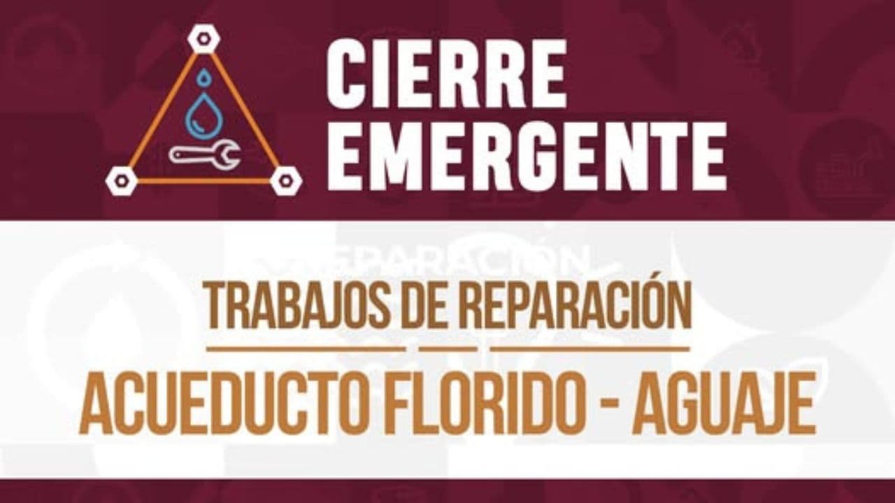 Foto: Web