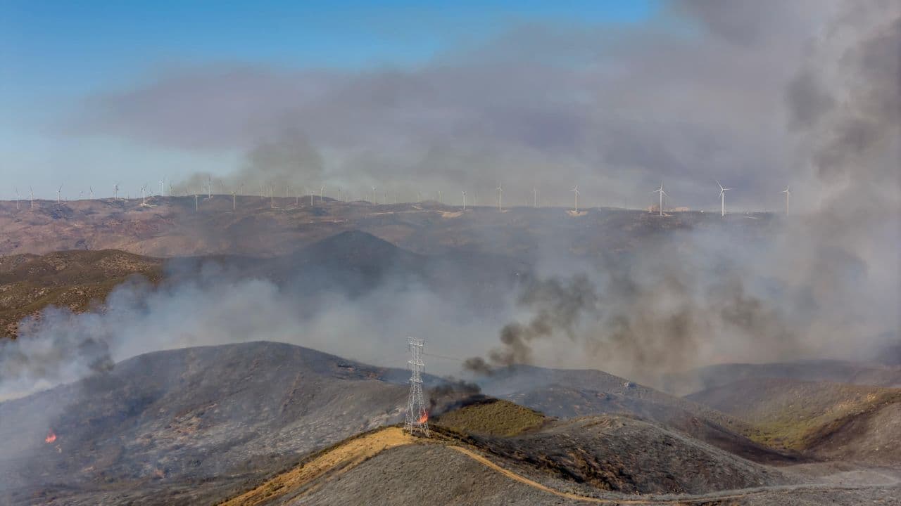 Foto: Border Zoom/Baja News
