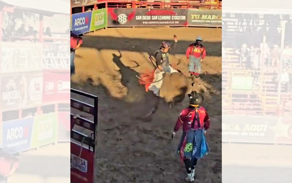 Jonathan Riebling, de San Luis Potosí, fue el único en completar los 8 segundos reglamentarios y se llevó la victoria en Jineteo de Toro.