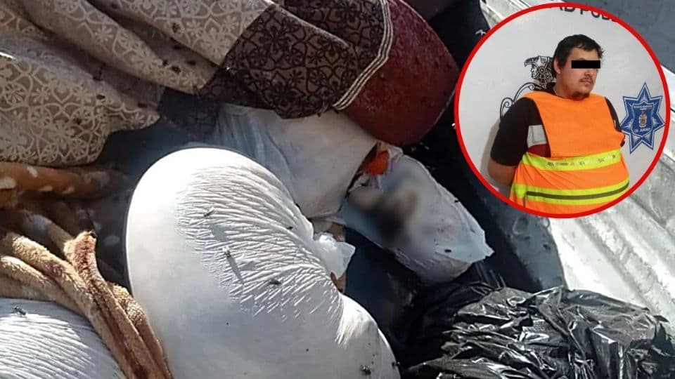 Fueron encontrados 118 perros muertos dentro de una camioneta. I FOTO: WEB
