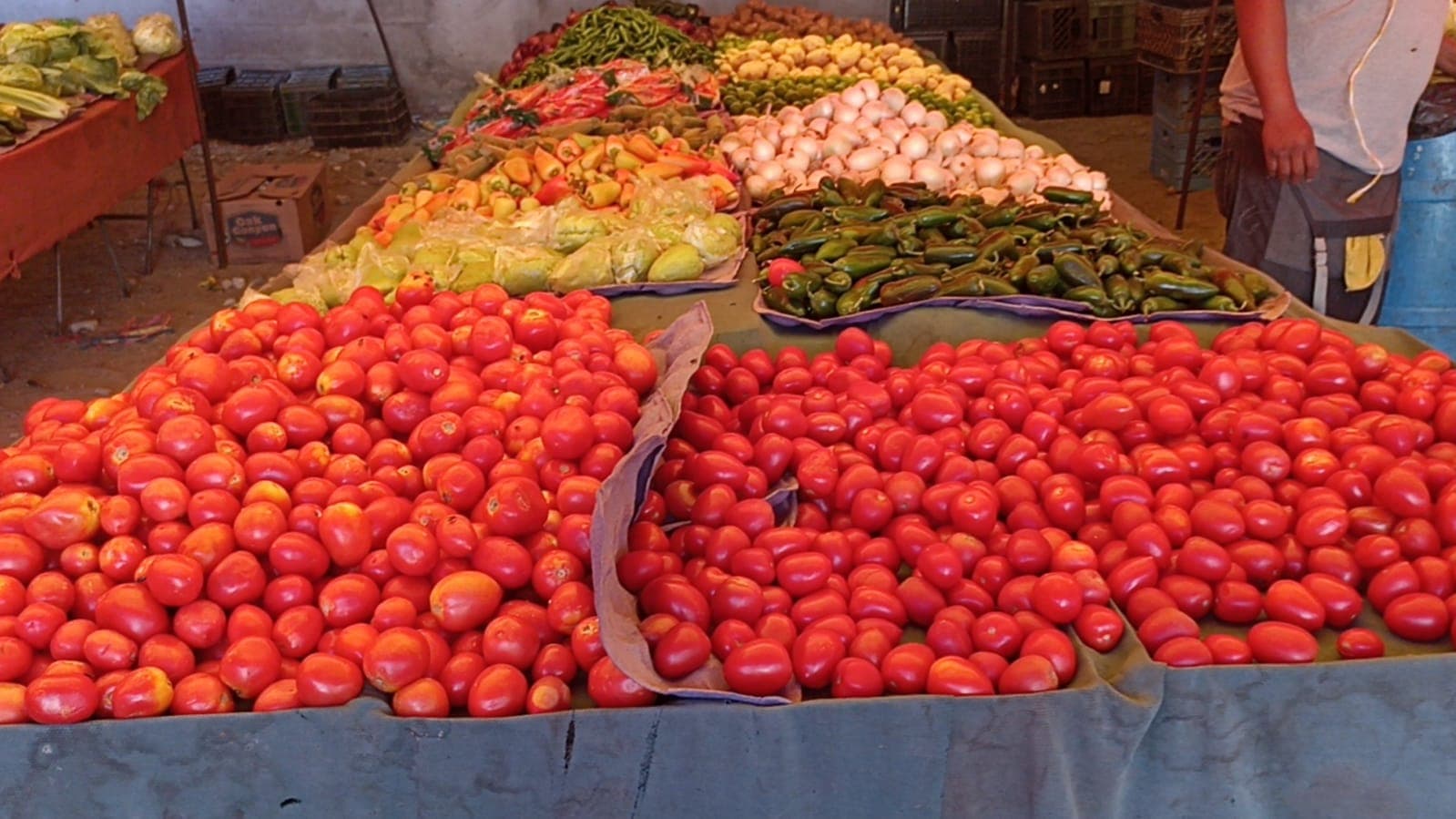 Verduras con mayor precio , Foto cortesía