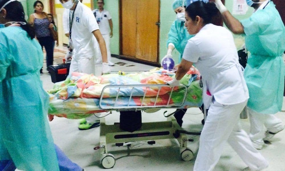 La rabia en los humanos ocasiona síntomas como fiebre, tos o dolor de garganta, y cuando la enfermedad se agrava genera alucinaciones, convulsiones y la muerte.
