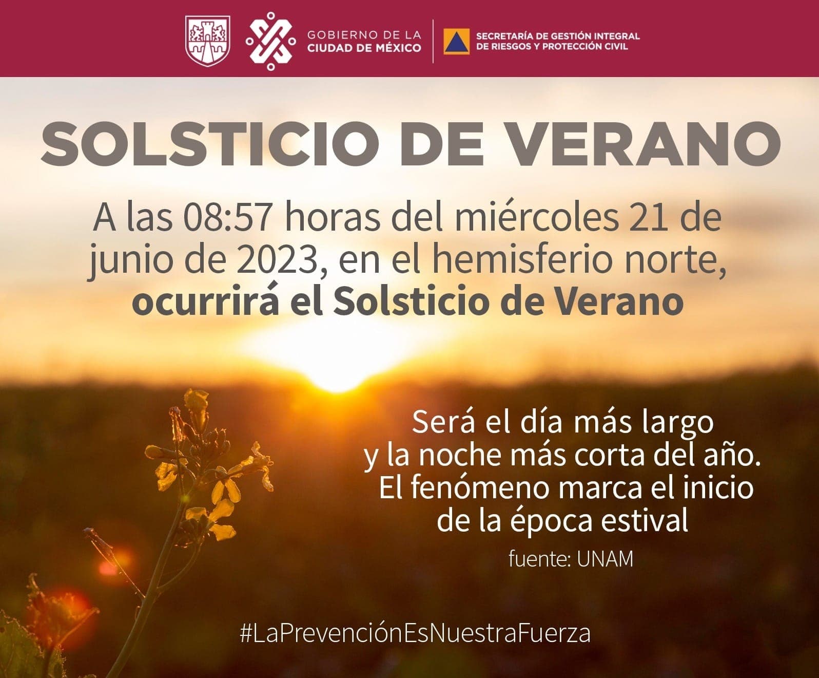 Foto: web