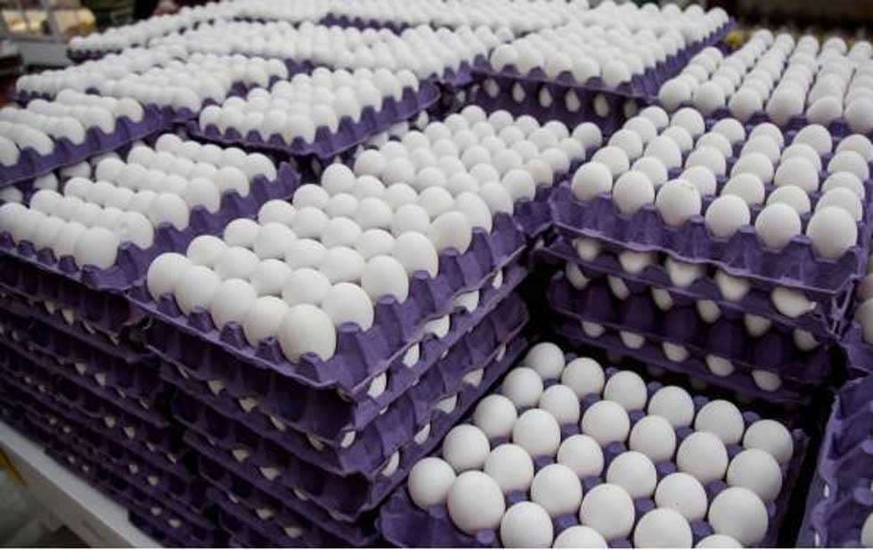 Torreón: Personas se pelean por huevos en un Soriana IFOTO: La Opción