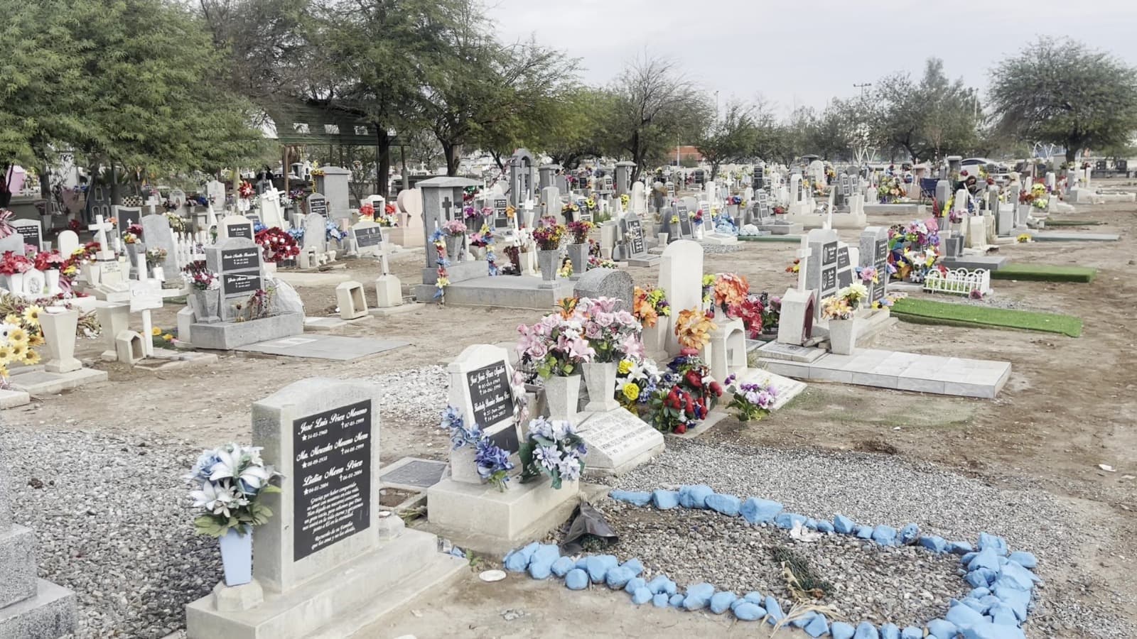 Foto: Baja News