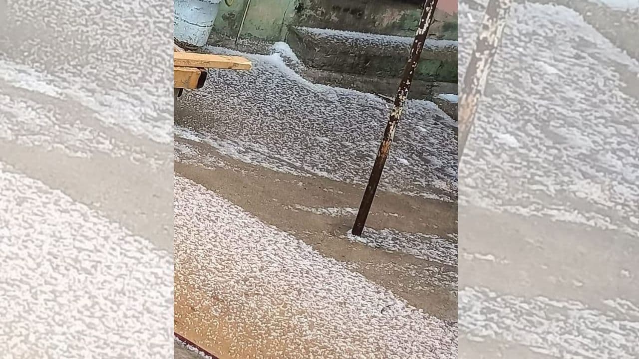 Foto: Cortesía