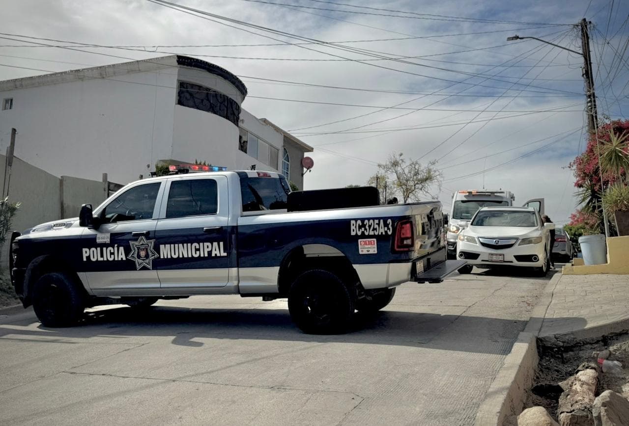 Fotos: Border Zoom