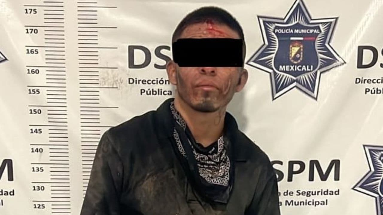 Foto: Cortesía