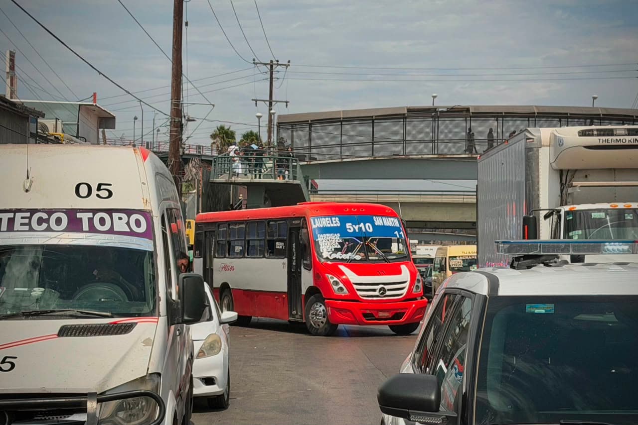 Fotos: Border Zoom