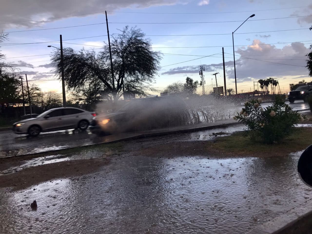 Foto: Baja News