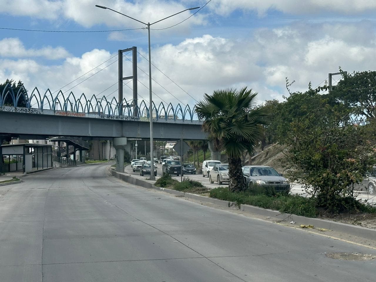 Foto: Cortesía