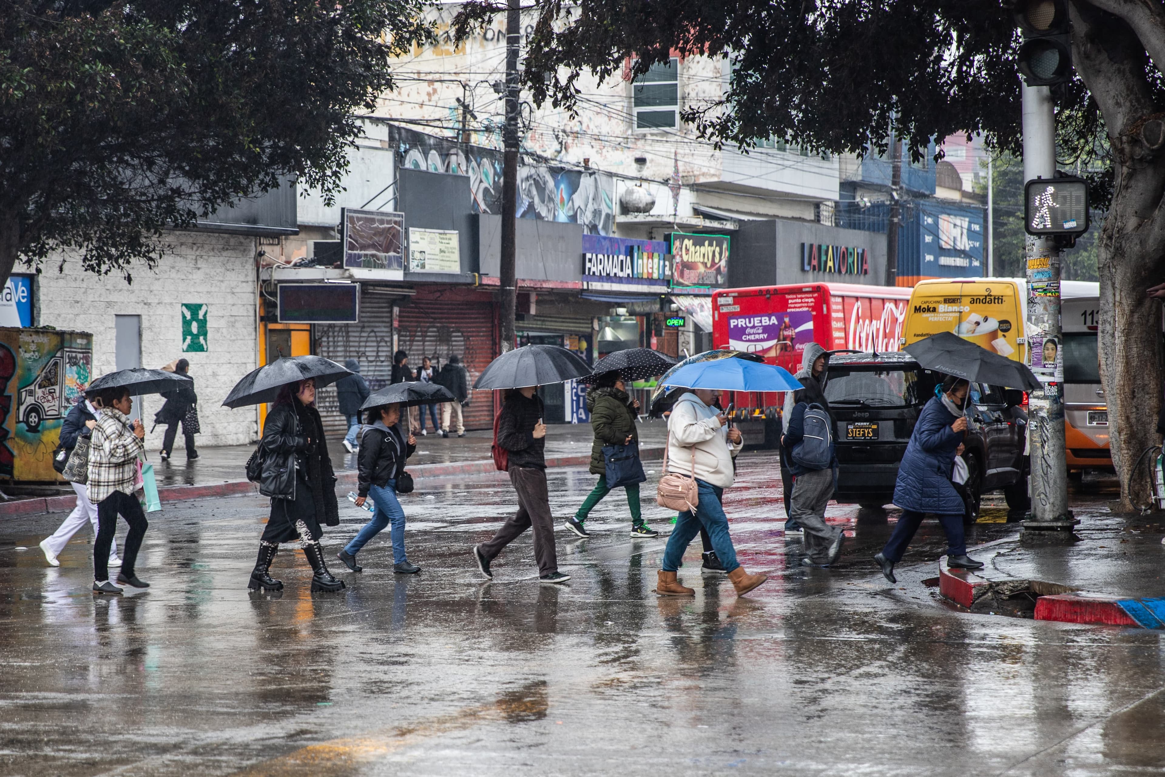 Foto: Border Zoom/Baja News