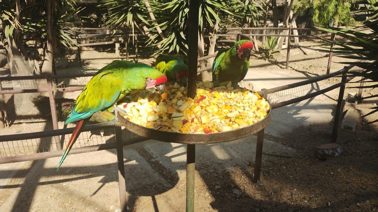 Foto: Cortesía