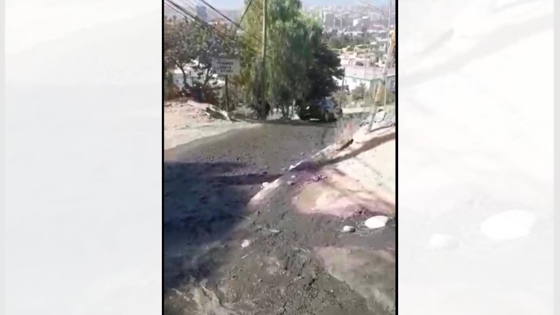 Imagen Cortesía