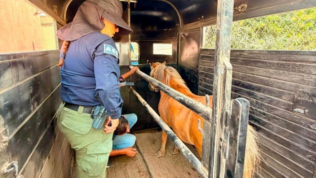 Foto: Baja News