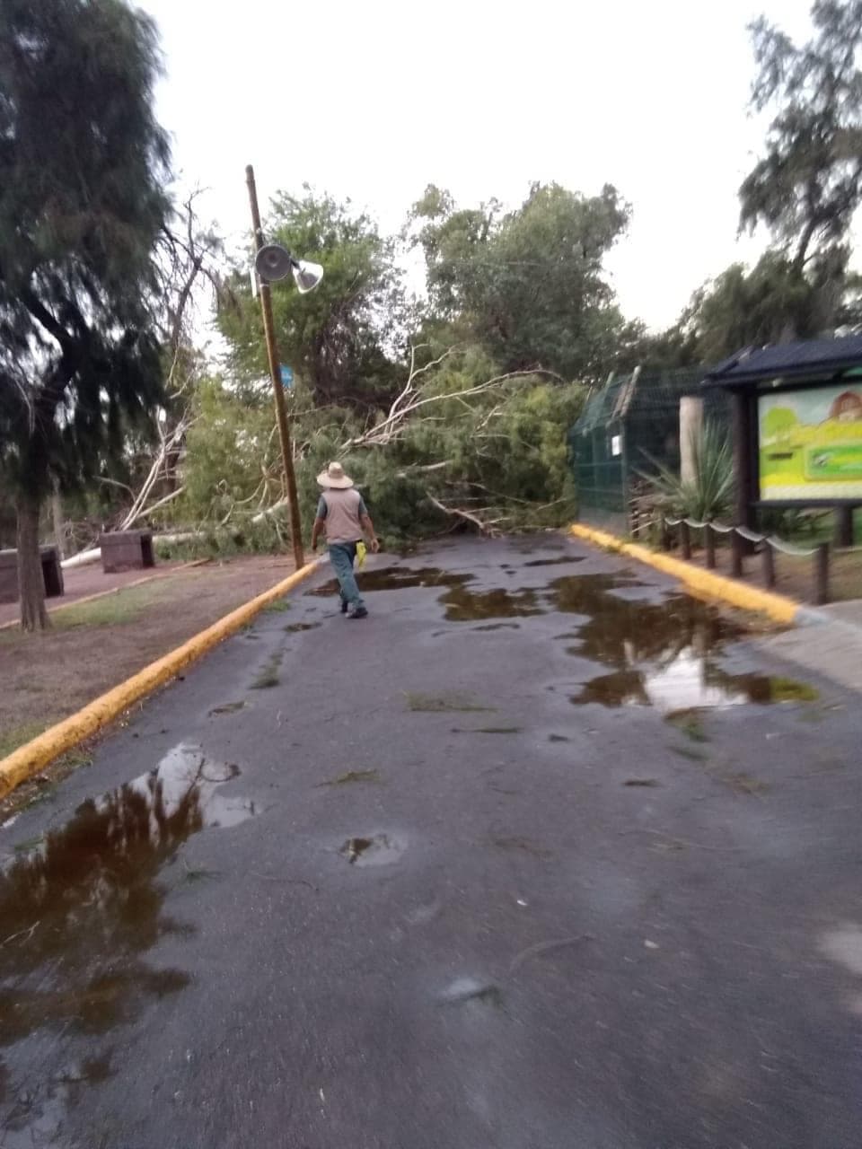 Foto: Cortesía