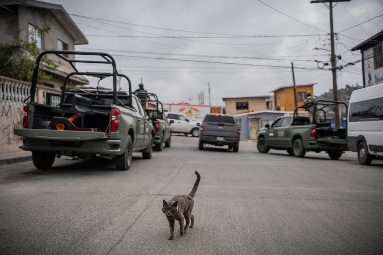 Foto: Border Zoom