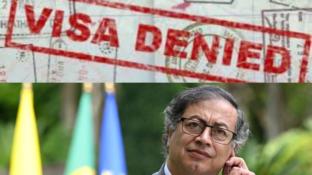 Fotos: web
