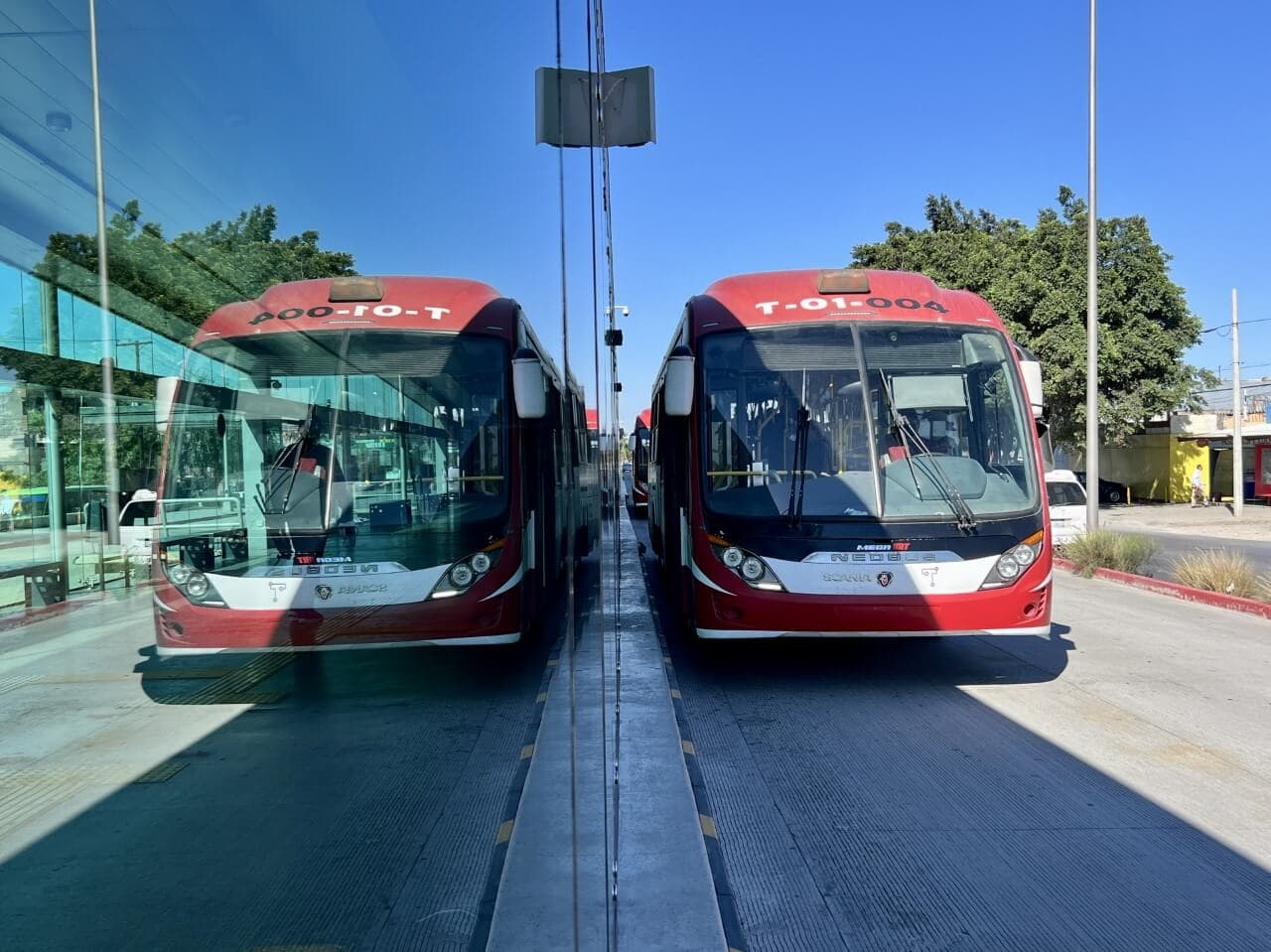 Foto: Baja News