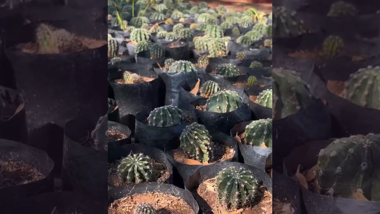 Foto: Cortesía