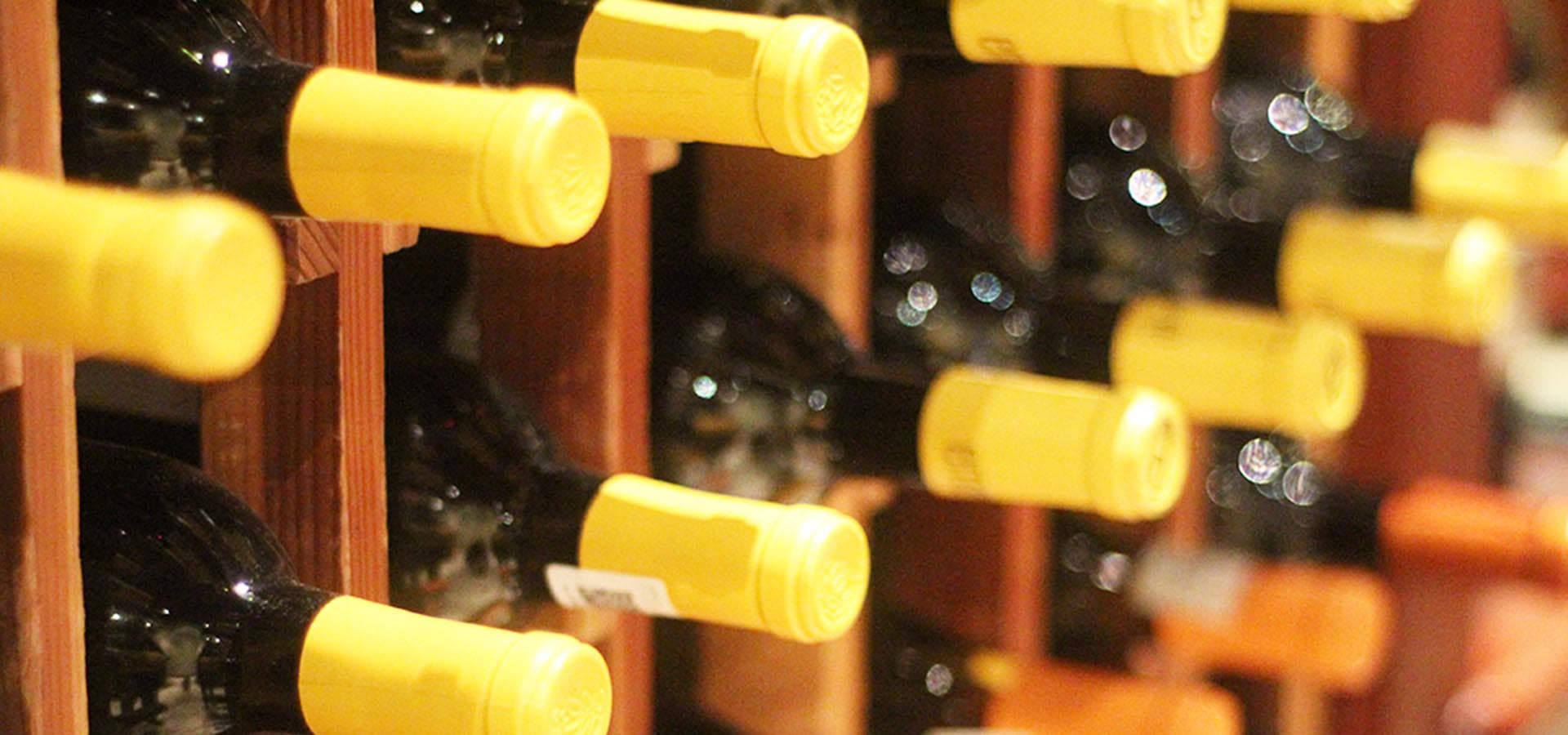 Tijuana: abren Escuela Mexicana para formar a expertos en vinos IFOTO: Tijuana