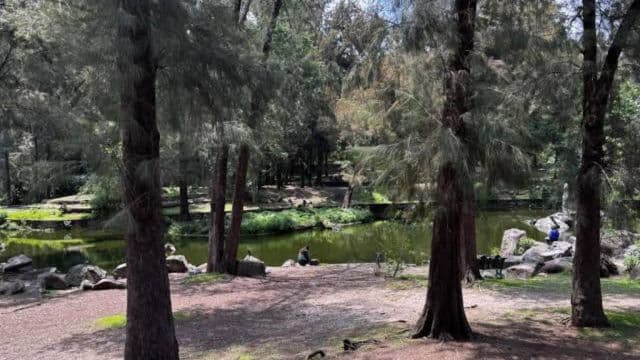 Foto: Baja News