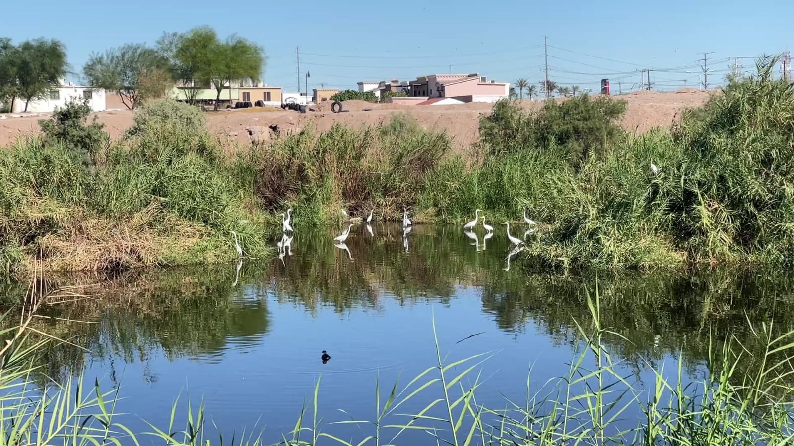 Foto: Baja News