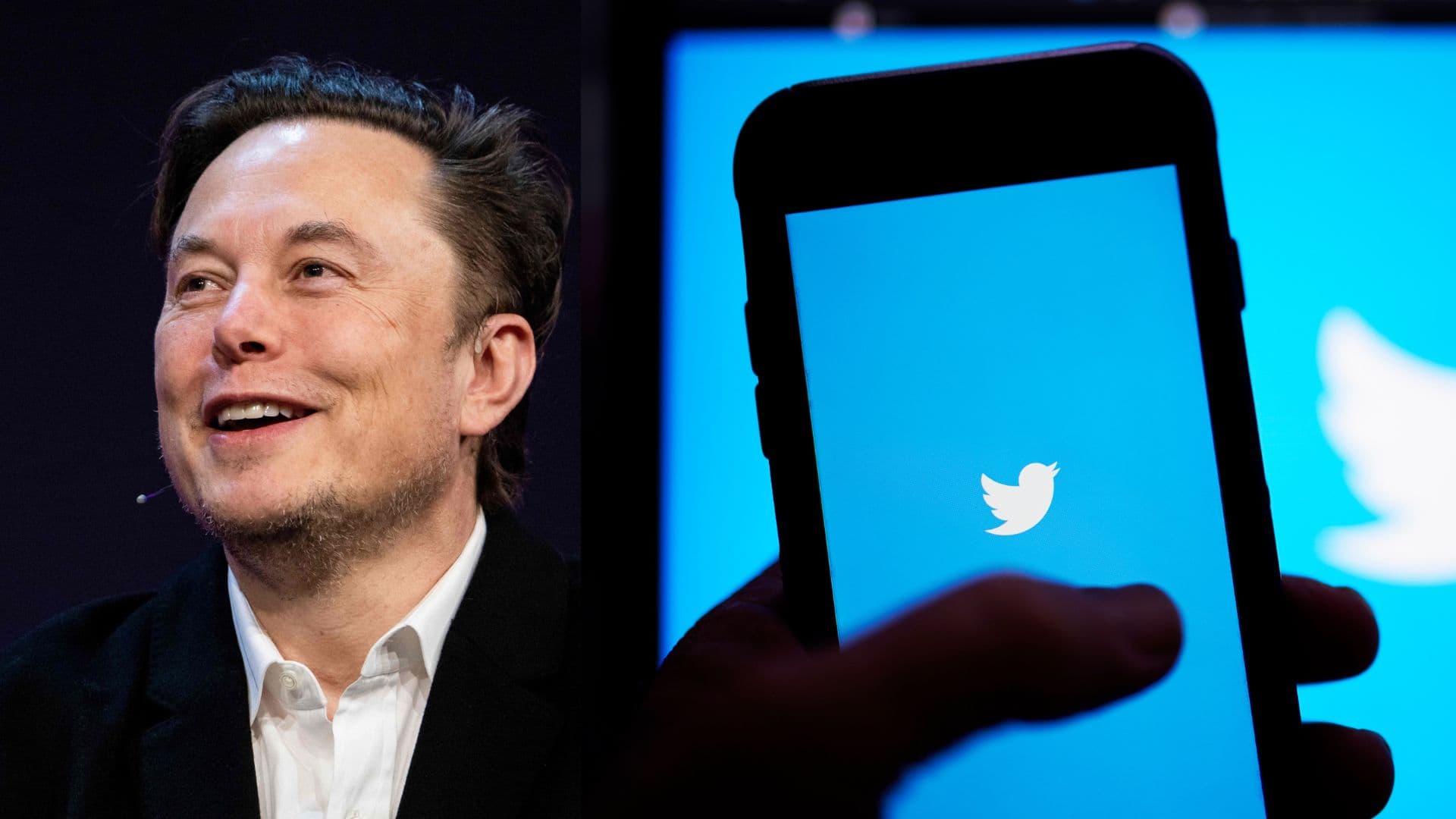 ELON MUSK IFOTO: WEB