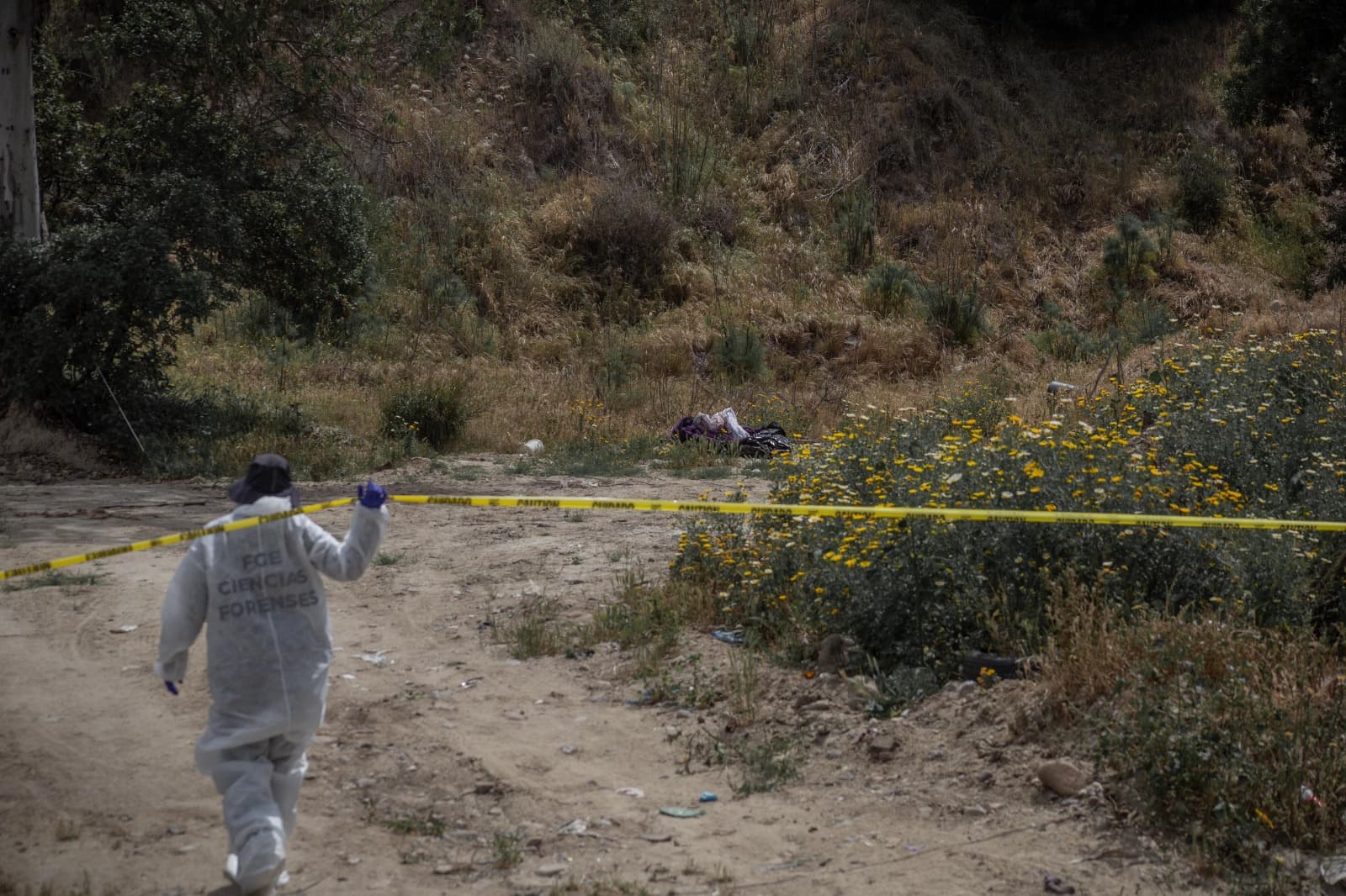 Foto: Border Zoom/Baja News