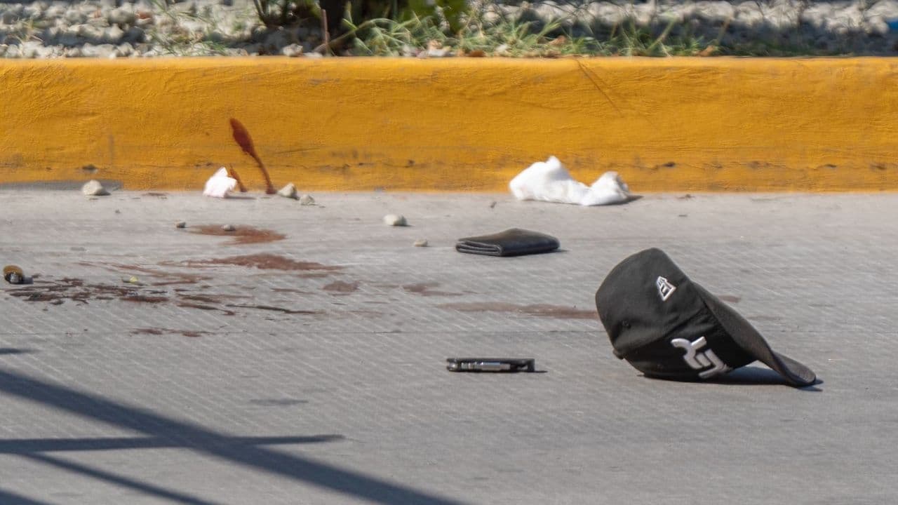 Fotos: Border Zoom