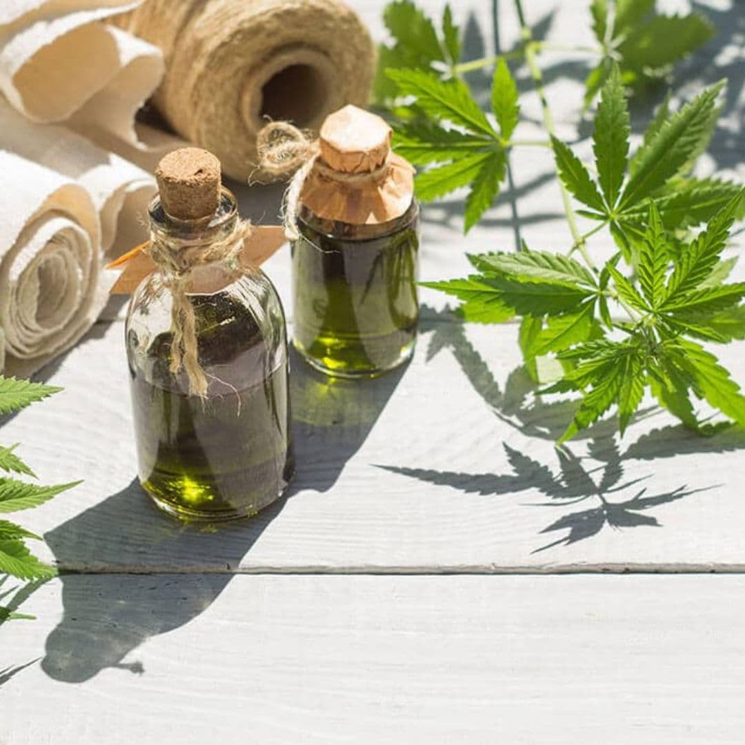 Confunde Cofepris cáñamo y cannabis: Activistas. I FOTO: WEB
